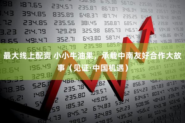 最大线上配资 小小牛油果，承载中南友好合作大故事（见证·中国机遇）