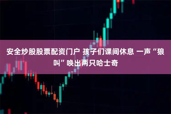安全炒股股票配资门户 孩子们课间休息 一声“狼叫”唤出两只哈士奇