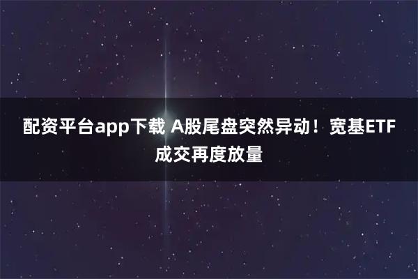 配资平台app下载 A股尾盘突然异动!宽基ETF成交再度放量