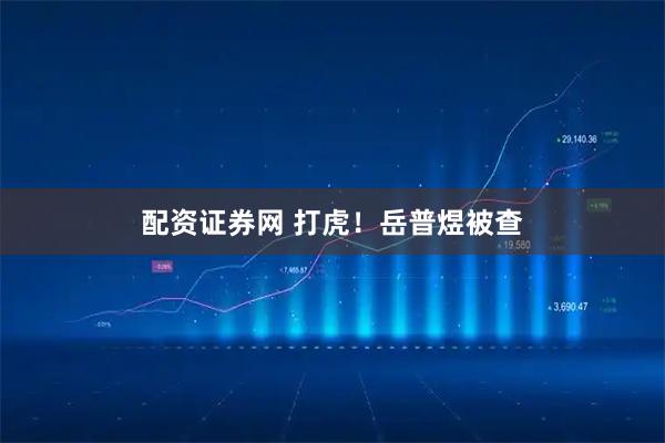 配资证券网 打虎！岳普煜被查