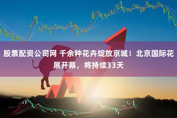 股票配资公司网 千余种花卉绽放京城！北京国际花展开幕，将持续33天