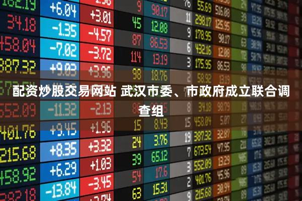 配资炒股交易网站 武汉市委、市政府成立联合调查组