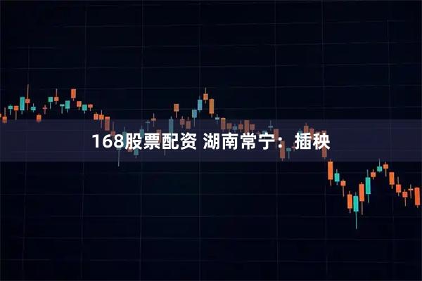 168股票配资 湖南常宁：插秧